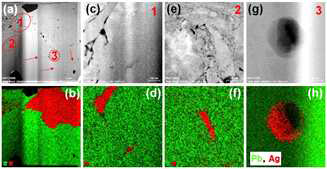 STEM/EDS image of PbBi0.002Te/Ag2Te composite