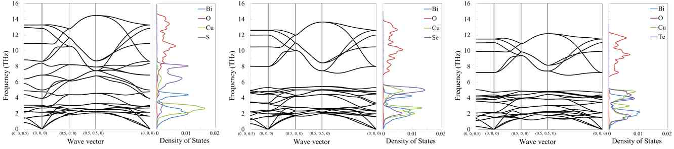 제일원리 계산으로 얻은 BiCuOQ (Q: S, Se, Te) 물질의 포논 분산과 포논 상태밀도