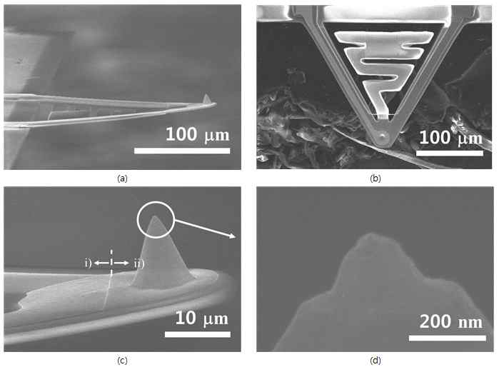 (a) 완성된 SThM 탐침 측면 SEM 이미지, (b) 완성된 SThM 탐침 평면 SEM 이미지, (C) 완성된 SThM 탐침 첨단 SEM 이미지 i) 두껍게 증착된 금속 박막 부분 ii) 얇게 증착된 금속 박막 부분, (d) 완성된 SThM 탐침 첨단 끝부분에 위치한 열전쌍 SEM 이미지
