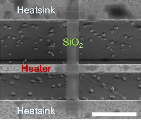 SEM image of measurement device. Scale bar is 5 μm