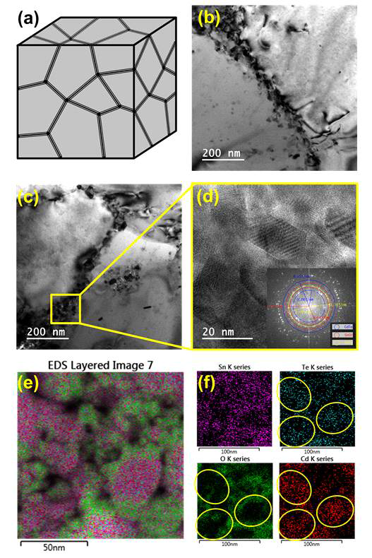 SnTe/CdTe coated grain 벌크 재료의 SEM/EDS images