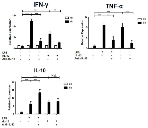 rIL-12의 생물학적 활성 및 마우스 anti-rIL-12 항체의 neutralization 활성 분석결과