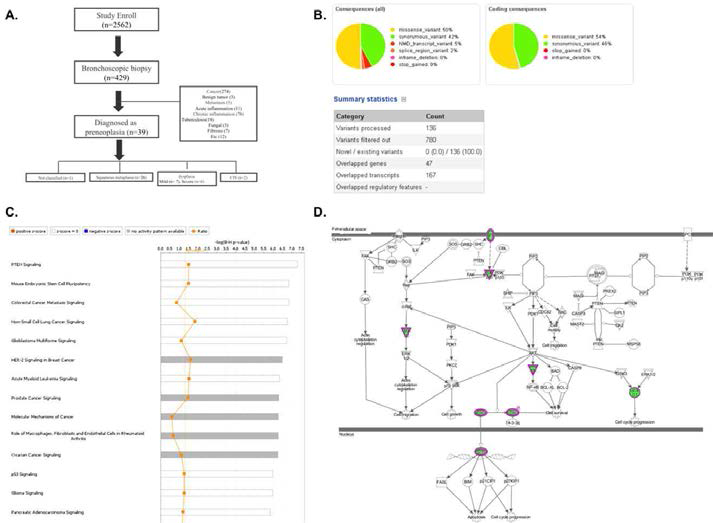 폐암전구병변 환자군 모집 및 후보 바이오마커 스크리닝 A. 기관지내시경후 폐암전구병변 환자 선별 모식도 B. Microarray DNA analysis C and D. Ingenuity pathway analysis. D. PTEN signaling pathway. Molecules with missense mutations are marked in green