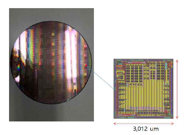 ASIC 설계 및 Wafer