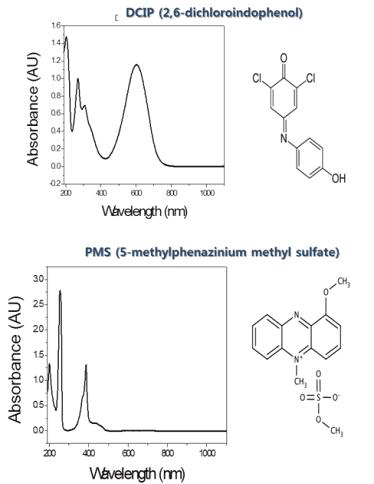 enzyme assay에 사용되는 PMS와 DCIP의 흡광 spectrum 및 구조