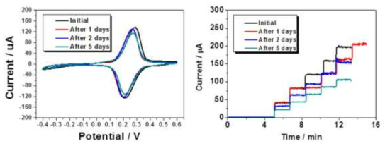 전도체를 포함하는 전극을 0.5 mM glucose용액에서 0.35 V를 인가하여 보관한 후 시간에 따라 측정한 CV(좌) 및 1~5 mM 농도의 glucose범위에서 측정한 amperometry(우)