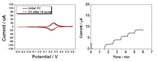 전도체를 포함하지 않는 전극의 CV(좌) 및 1~5 mM 농도의 glucose범위에서 측정한 amperometry(우)