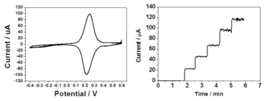 metallic substrate 전극 위에 전도체 분산액을 먼저 코팅한 후 코팅한 센서막의 CV(좌) 및 1~5 mM 농도의 glucose범위에서 측정한 amperometry(우)
