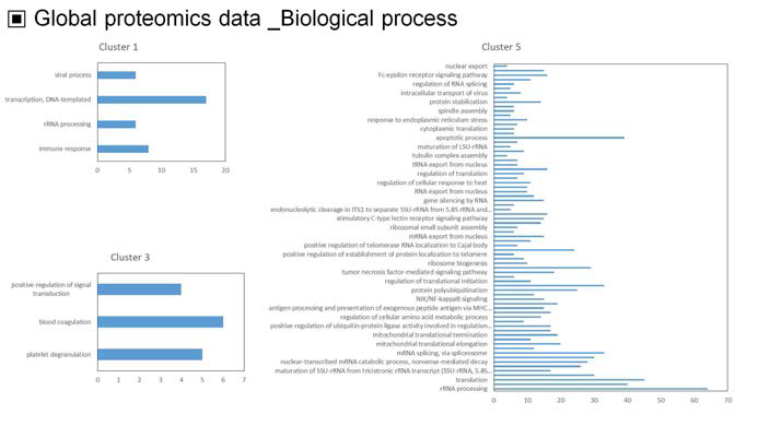 Global proteomics data_biological process(GO)
