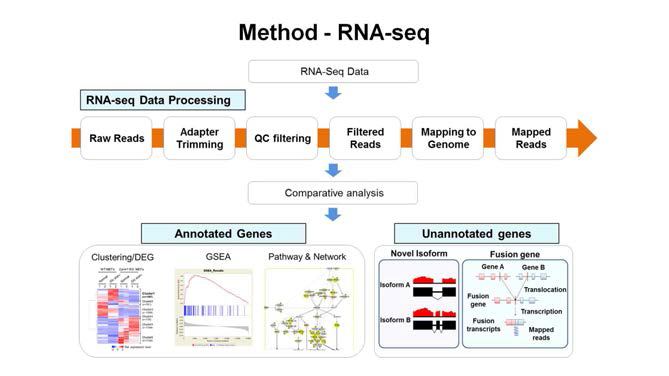 RNA-seq 데이터 프로세싱 워크플로우