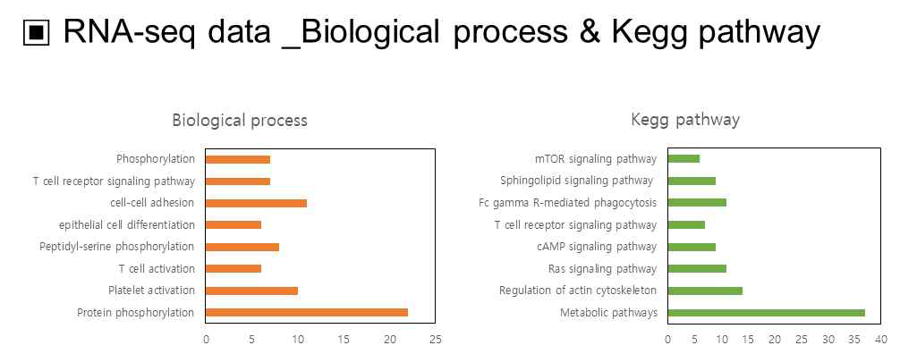 RNA-seq data_GO search, Kegg pathway