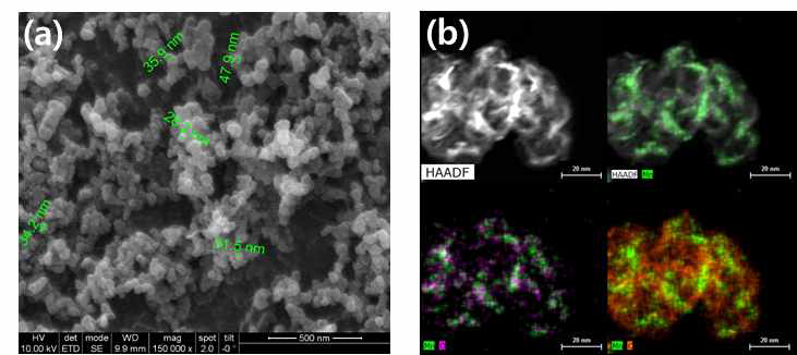(a) SEM images of MnOx coated carbon and (b) TEM image of MnOx coated carbon, the corresponding EDS mapping of Mn, O and C element respectively