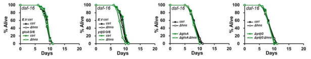 MG 분해효소 과발현 대장균에 의한 daf-16 변이체의 수명 조절 연구