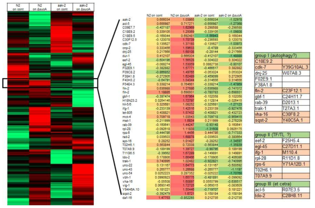 phospho-proteome in N2 vs aak-2 mutant on E. coli ΔsucA mutant