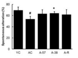 Memory-enhancing effect of OW38 in aged mice by a Y-maze task