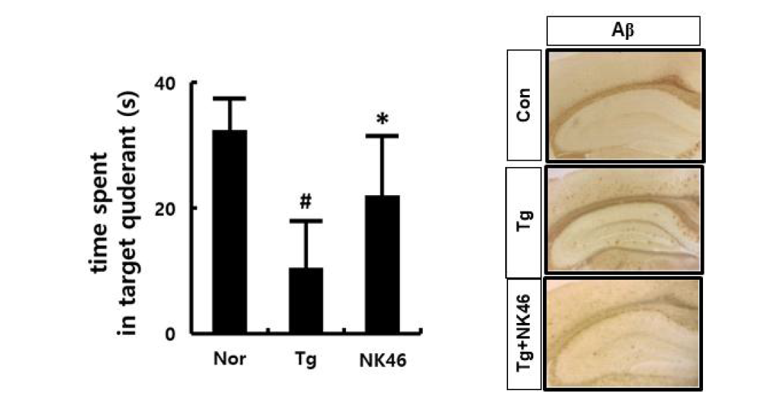 NK46은 5xFAD transgenic mice의 효능 검증