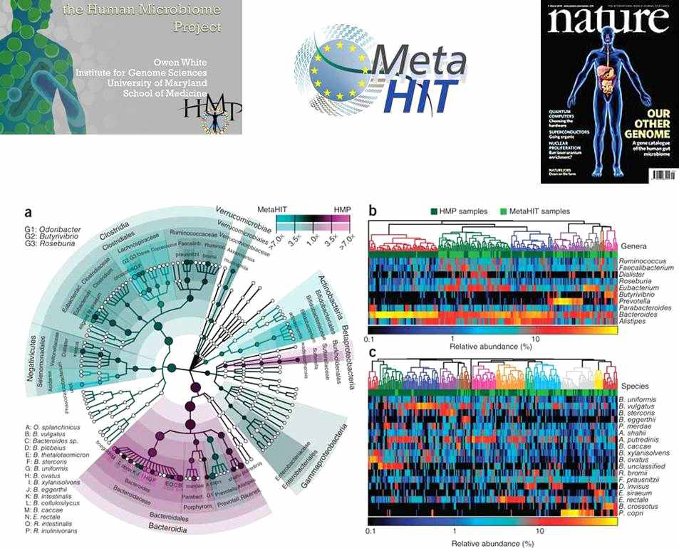 Human Microbiome Project & Metagenomics for Human Intestinal Tract, Microbiome as “OUR OTHER GENOME” in Nature cover, Comparisons of microbiota between HMP and MetaHIT