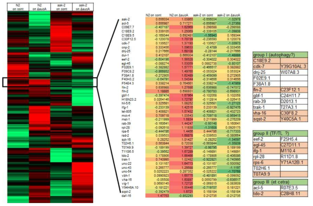 phospho-proteome in N2 vs aak-2 mutant on E. coli ΔsucA mutant