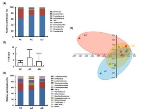 Effect of OW38 on the composition of gut microbiota