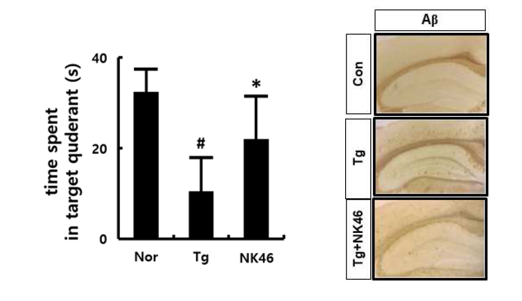 NK46은 5xFAD transgenic mice의 효능 검증