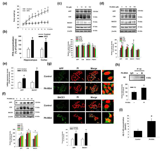 신경세포주에서 팔미트산의 처리가 APP, BACE1 발현 조절과 아밀로이드 베타 생성에 미치는 영향