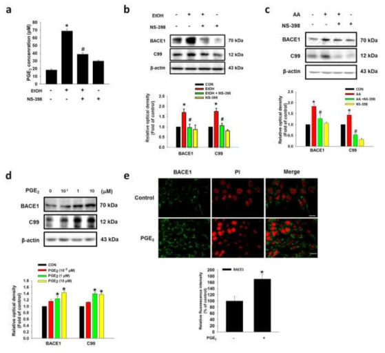 BACE1 발현에 COX-2에 의한 에탄올 처리에 의해 유도된 PGE2 생성의 영향