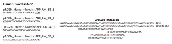 APP Swedish 돌연변이에 작용하는 sgRNA와 APP Swedish 돌연변이 타켓 시퀀스