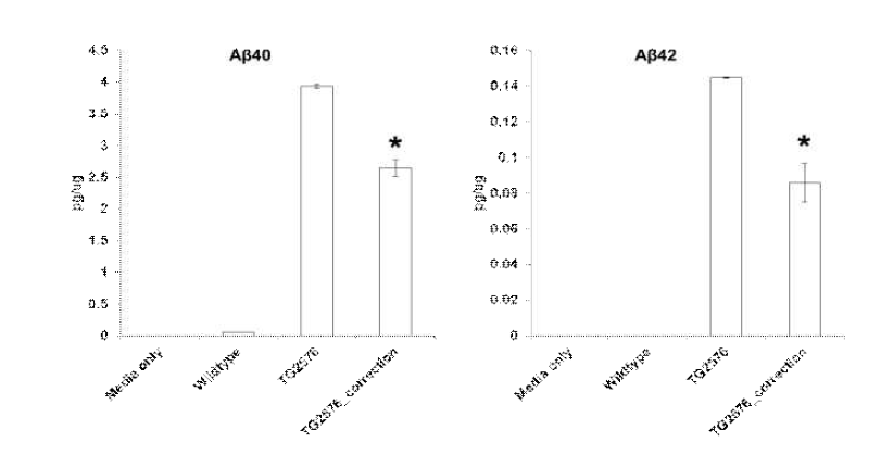 신경전구세포에서 Aβ40와 Aβ42의 발현량을 ELISA로 측정