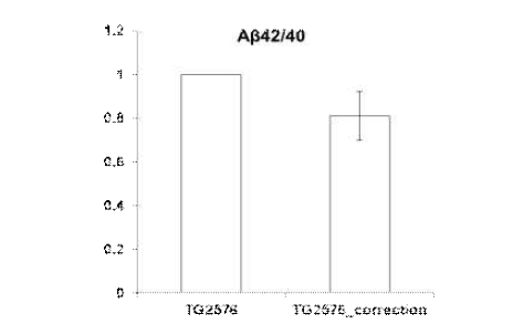 신경전구세포에서 Aβ 42/Aβ40 발현량의 비율을 비교