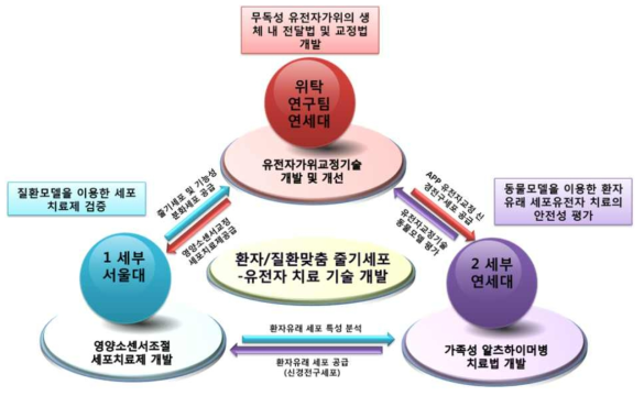 총괄 연구과제 개요