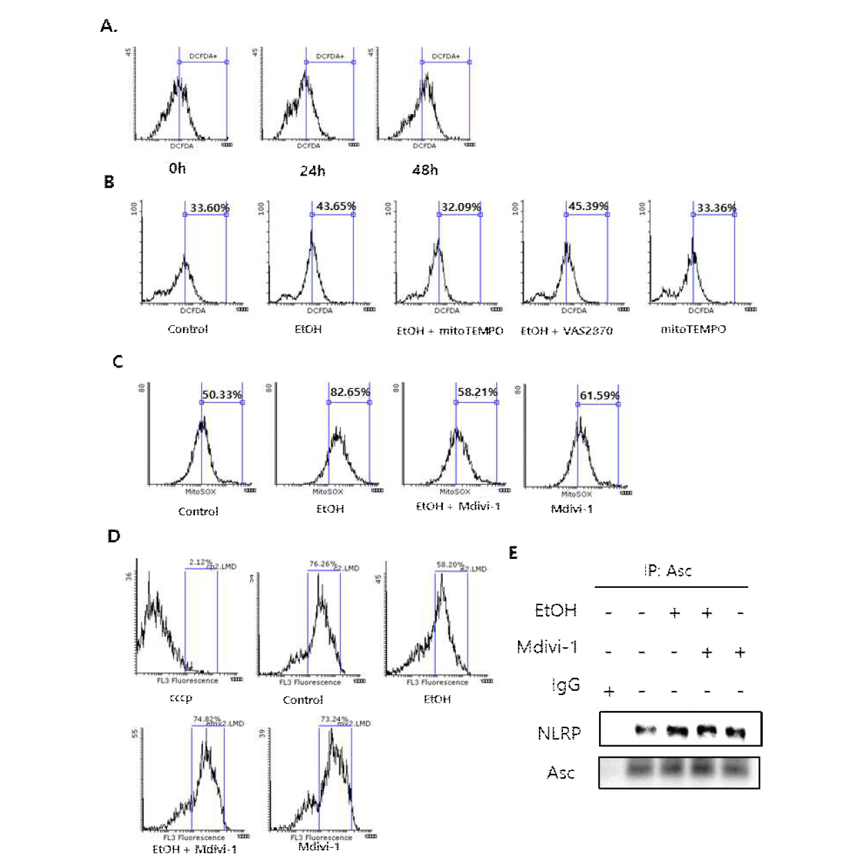 에탄올에 의한 과도한 미토콘드리아 분절과 미토콘드리아 기능이상에 의한 inflammasome 형성 효과