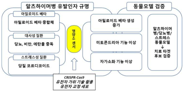 영양소 센서의 활성 제어를 통한 알츠하이머병의 치료 표적 발굴과 검증에 대한 연구