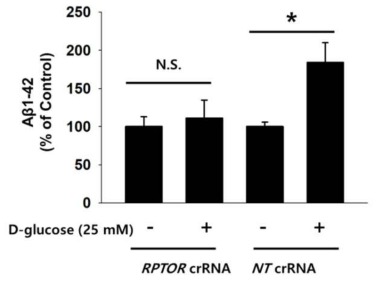 고포도당 환경에 노출 시 RAPTOR 유전자 교정 세포에서 아밀로이드 베타 형성 정도 비교