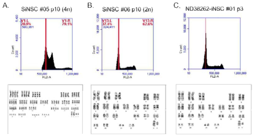 Karyotype analysis and PI staining data analysis for ND38262 (LRRK2)-iNSC. SiNSC #05 p10 and SiNSC #06 p10 were used as control
