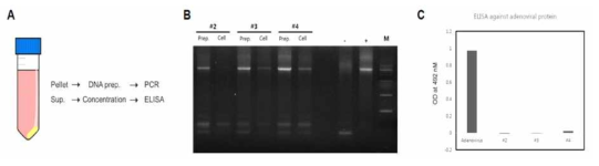 Analysis on Adenovirus production (PCR, ELISA)
