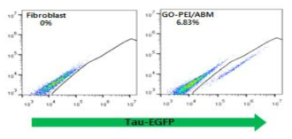 Tau-eGFP K/I 마우스의 성체세포를 이용한 신경교차분화 유세포 분석