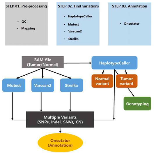 암유전체에서 체세포변이 SNP, INDEL을 발굴하는 파이프라인의 개요
