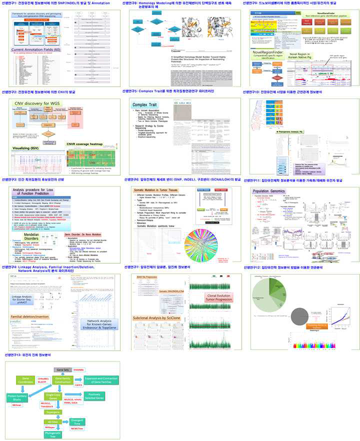 유전체 정보분석 서비스 항목 (13종). 전장유전체에서 SNP, INDEL 및 CNV 발굴, 호몰로지 모델링에 의한 변이의 단백질구조 변화 예측, 희귀질환 후보유전자의 선발, Linkage Analysis, 가족성 INDEL, 네트웍 분석, 복합질환의 연관연구, 암유전체에서 체세포변이 발굴, 암클론/암진화 정보분석, 드노보 어셈블리 기반의 구조변화 및 특이서열 발굴, 전장유전체 변이 정보에 의한 근연관계, 집단유전체학, 연관분석으로 구성되어 있으며, 연구지원 결과에 따라 SCI 급 이상의 논문을 이미 발표하여 완성도 높은 생명정보 파이프라인을 보유하고 있음