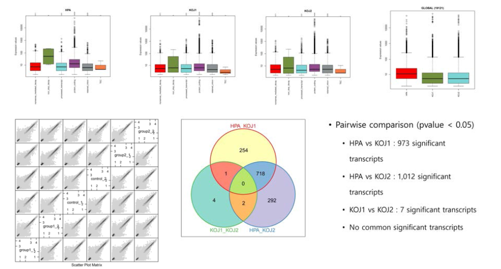 부갑상선암 환자의 전이암세포 2개에서 RNA-Seq 데이터를 활용하여 차등발현 유전자를 발굴