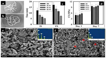 PRP/Brushite cement 특성 평가