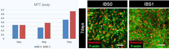 IBS0 및 IBS1의 생체 적합성 평가