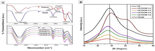 (A) TOCNF 및 CS FT-IR 분석과 (B) XRD 분석 결과