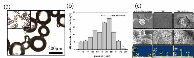 (a)ALG-HA 마이크로비드 이미지, (b)마이크로 비드의 크기 분포도 (c)ALG-HA 마이크로비드, CPC 및 CPC/ALG-HA의 SEM 이미지 및 EDS 분석