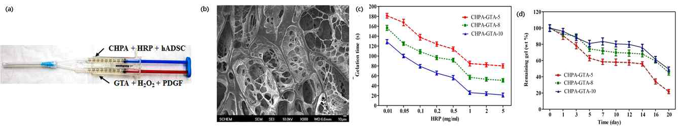 (a) CHPA-GTA의 하이드로젤 시스템, (b) SEM 미세조직 (c) Gelatin time, (d) 생분해 거동 평가