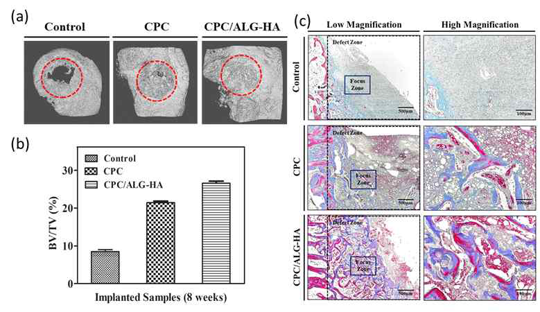(a) 골결손부 이식 후 u-CT, (b) 이식 후 골형성 부피비율 및 (c) 조직학적 결과