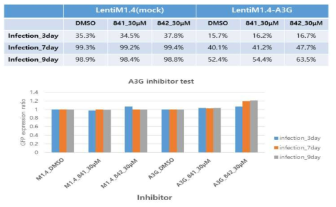 U-87MG/A3G에서 A3G inhibitor(841, 842)에 의한 RRV 감염 개선 확인