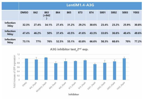 U-87MG/A3G에서A3G inhibitor에 의한 RRV 감염 개선 확인(2nd Exp.)