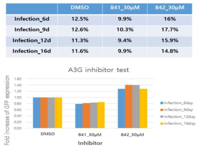 H9에서 A3G inhibitors에 의한 RRV 감염 개선 확인