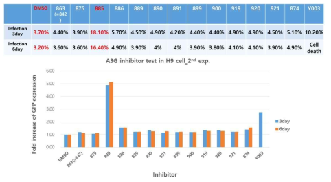 H9에서 A3G inhibitor(875~990)에 의한 RRV 감염 개선 확인(2nd exp.)