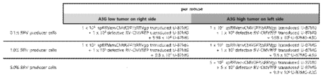 RRV producer cells이 다양한 비율로 포함된 U-87 MG와 U-87 MG-A3G를 이용한 이종 종양 이식